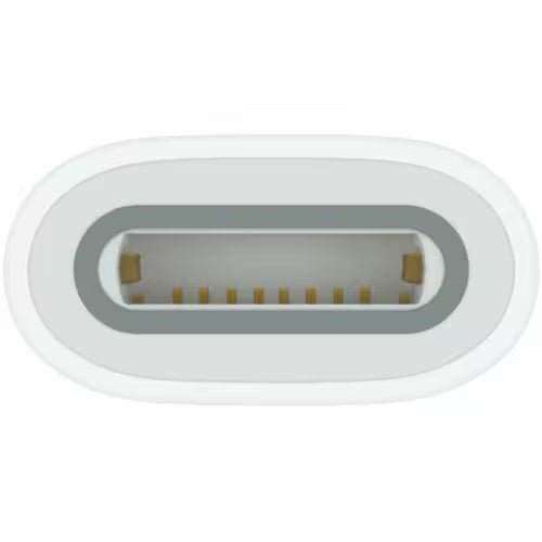 USB-C to Apple Pencil Adapter