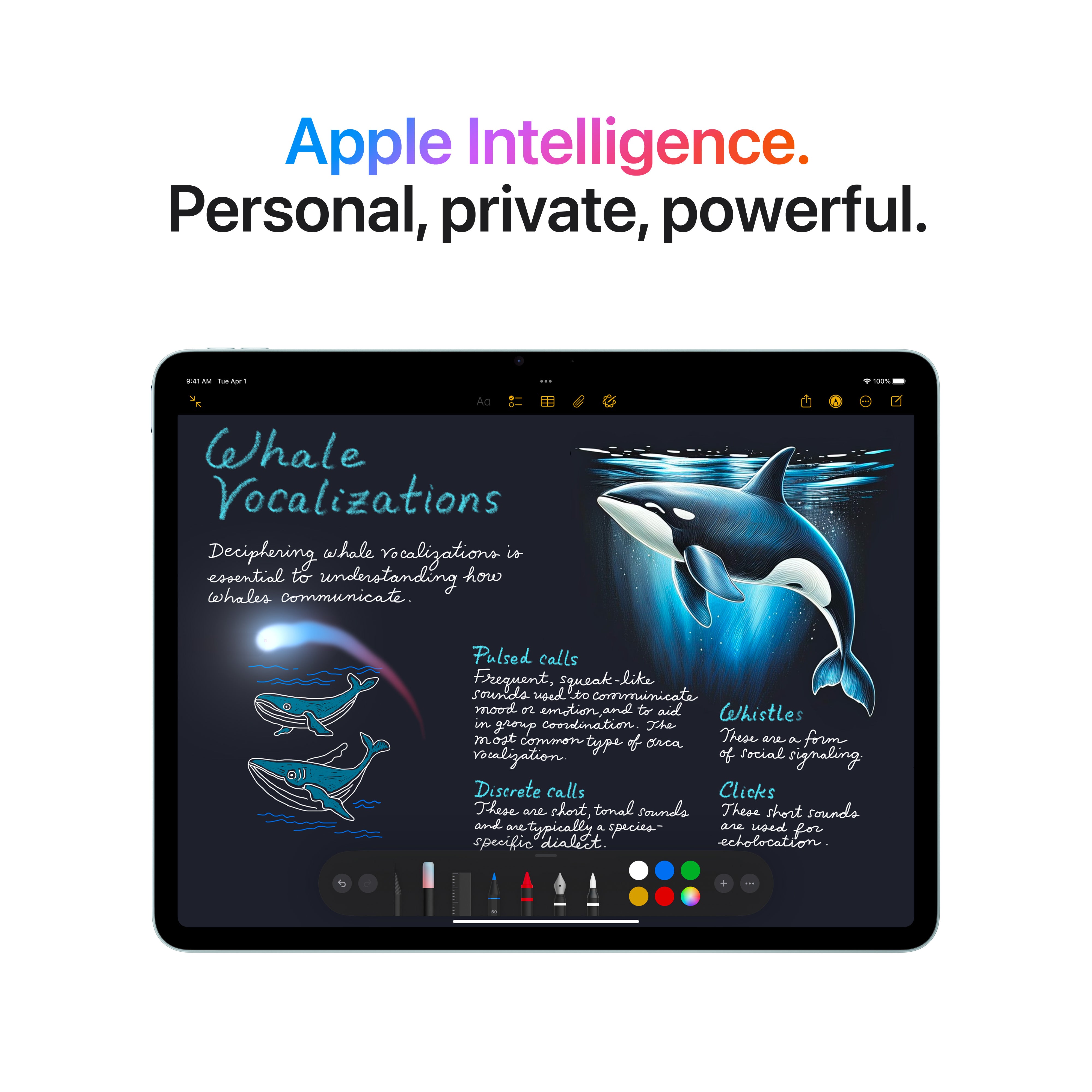 iPad Air 11in (M3) Wi-Fi 1TB - Blue