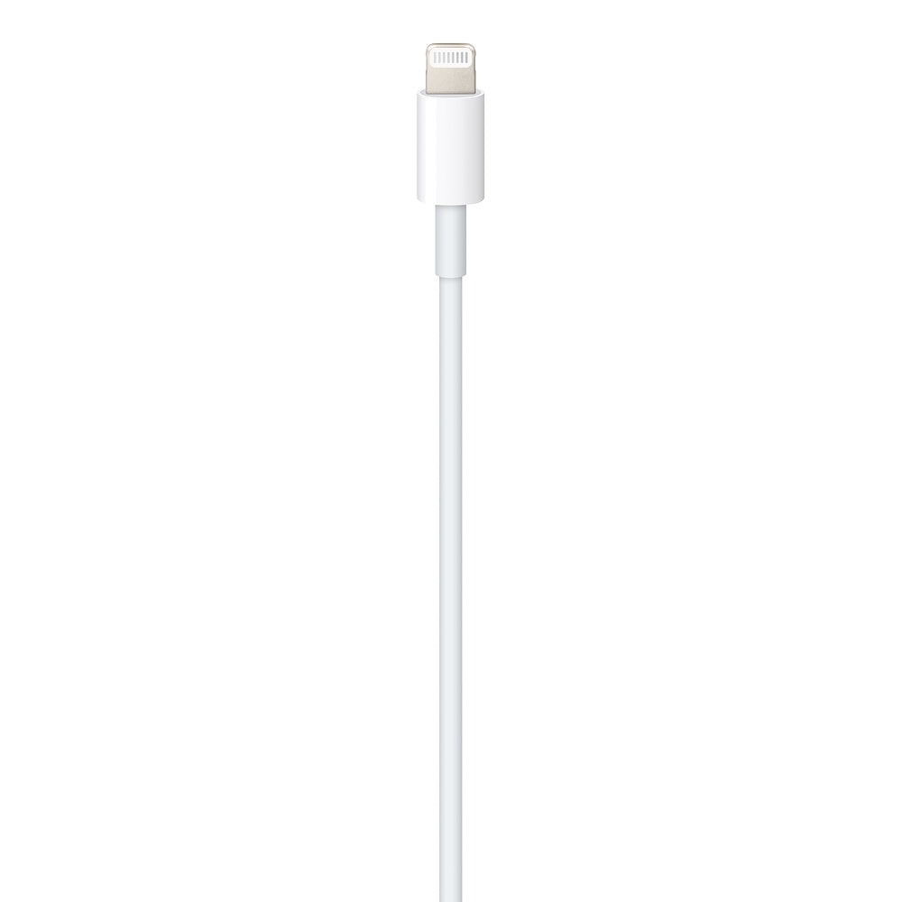 Apple Pencil (USB-C) MUWA3ZA/A